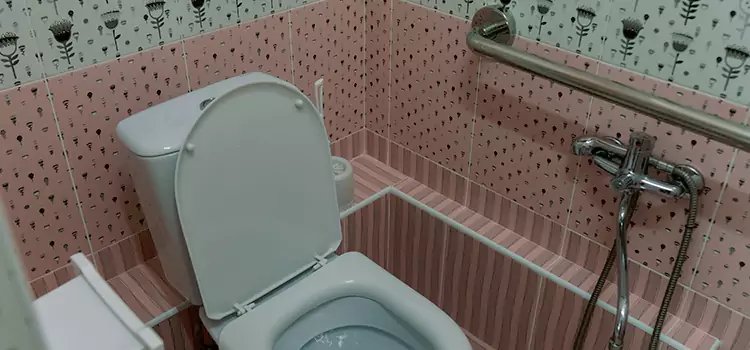 Meeting Diverse Needs With Accessible Restroom Solutions in Cinco Ranch, TX